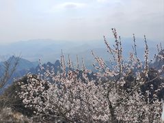 -狼牙山风景区