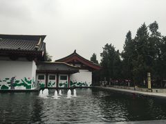 -大唐博相府酒店·陕西官府菜