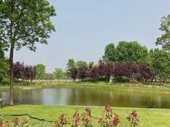 -安德鲁户外烧烤帐篷营地(马泉营店)