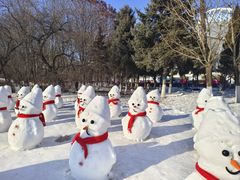 -沈阳奥体冰雪嘉年华