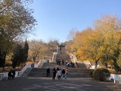 -乌素图国家森林公园