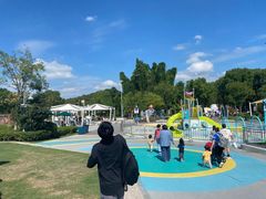 -上海月湖雕塑公园