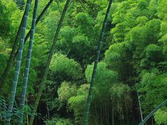 -南京城墙景区