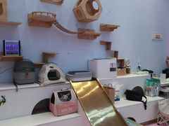 -爪爪喵星球·猫舍(前海卓越店)