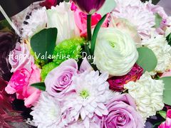 -弗雷德咖啡(金隅紫京府店)