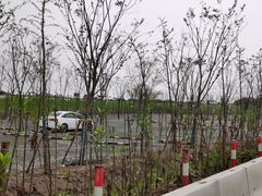 -南汇嘴观海公园