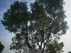 -嘉北郊野公园