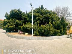 -旅顺博物馆