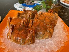 -湖州皇冠假日酒店-彩丰楼中餐厅