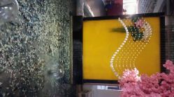 点击看大图 android_upload_pic-Sunny喜铺婚礼策划(东部店)