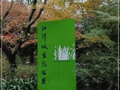 -西湖风景区-江洋畈生态公园