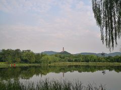 -北坞公园