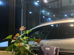 -脉冲品质汽美·贴膜(闵行店)