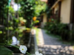 -Lam Vien Restaurant