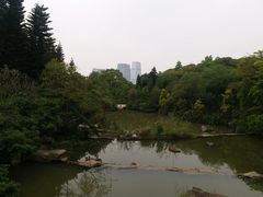 -云溪植物园