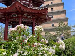 -大慈恩寺(大雁塔)