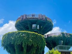 -芒洲湿地公园