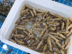 -海之鲜大排档(东山海鲜金銮湾店)