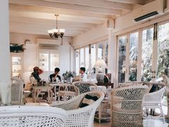 -Fern Forest Cafe