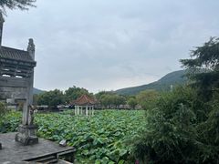 -和顺古镇