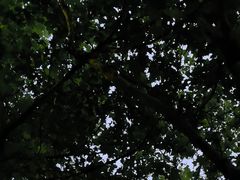 -青岛汽车北站