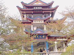 -灵福缘私房菜·农家菜(拈花湾·灵山大佛必推店)