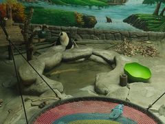 -青藏高原野生动物园