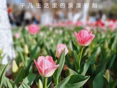 -翠湖公园