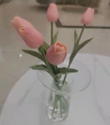 -凡碧诗毛孔清洁收细