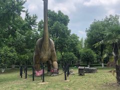 -金钉子远古世界景区