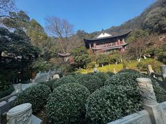 -十八棵（老龙井）御茶园(老龙井店)