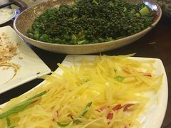 -铁山坪森林公园