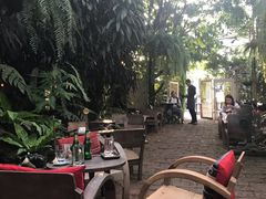 -Fern Forest Cafe