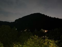 -阿巧茶庄
