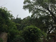 -南岳衡山风景名胜区