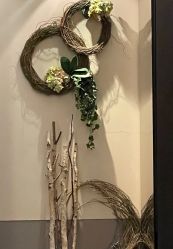 -Oasis Beauty水磨坊科技美肤中心