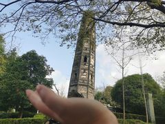 -上海佘山国家森林公园天马山园