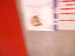 -新侗家食府(蟠桃宫店)