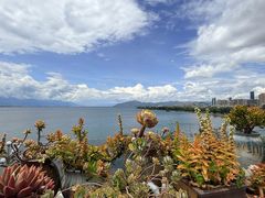 -野菌皇海景野生菌火锅(滨海大道店)