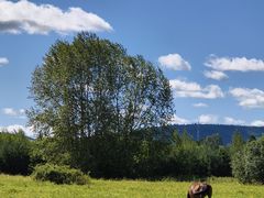 -北极村旅游风景区