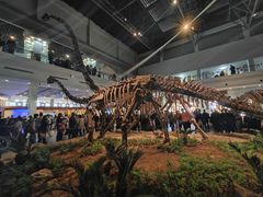 -自贡恐龙博物馆