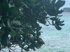 -东姑阿都拉曼海洋公园