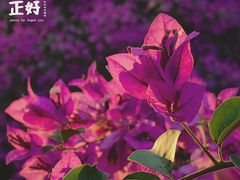 -陶然亭公园