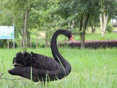 -福建鲤鱼洲酒店