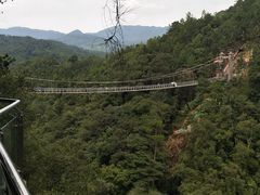 -九龙江国家森林公园