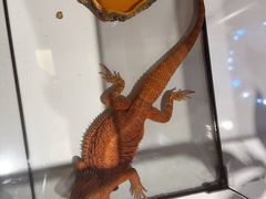 -江南环球港
