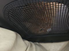 -中农大我爱我爱24h动物医院·中医针灸·猫专科·骨科医疗中心(双井店)