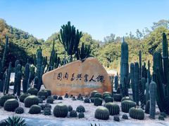 -深圳仙湖植物园-停车场