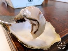 -Oyster Talks 四度蚝法餐厅