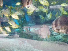 -波塞冬旅游度假区